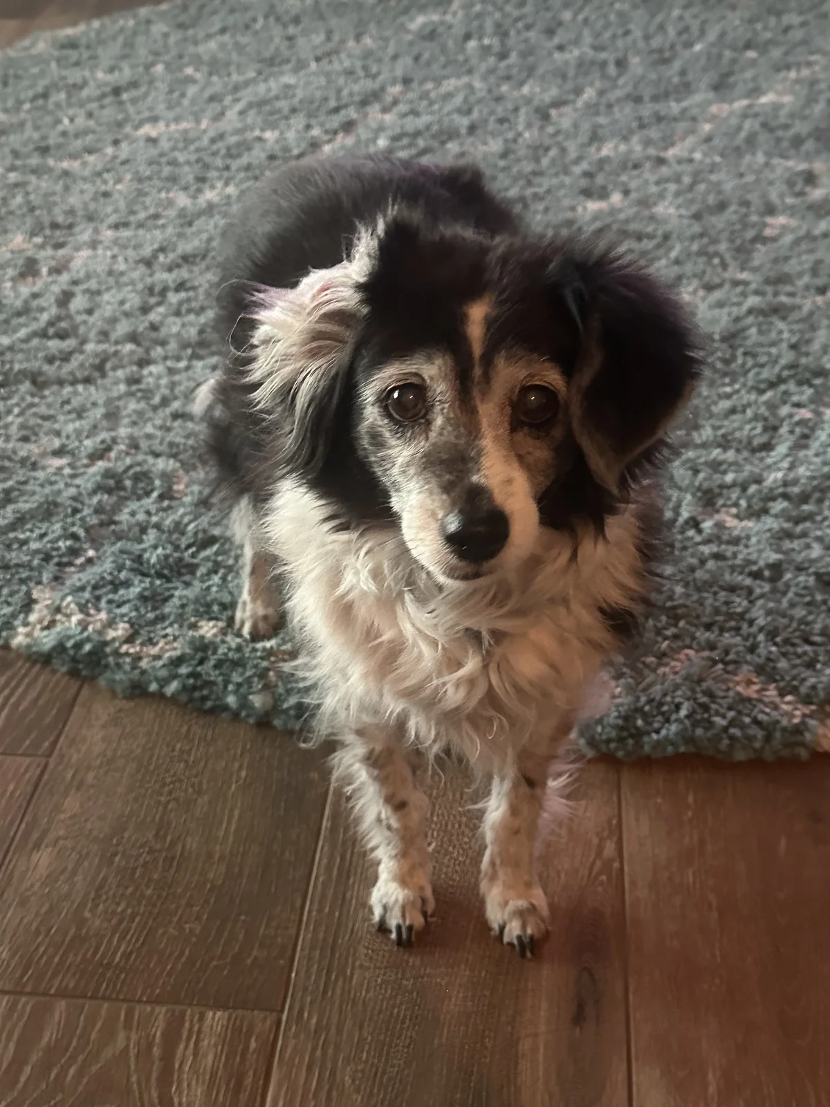 Bailey memorial tribute