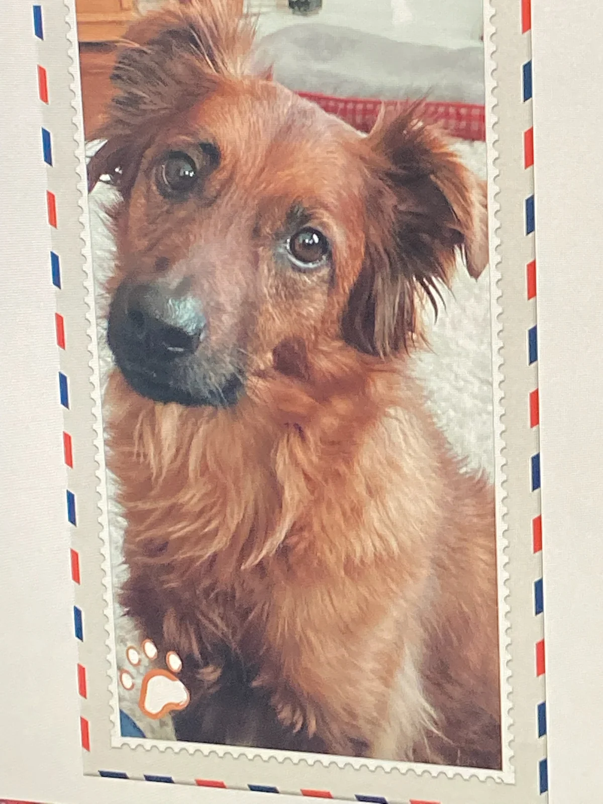 Brownie memorial tribute