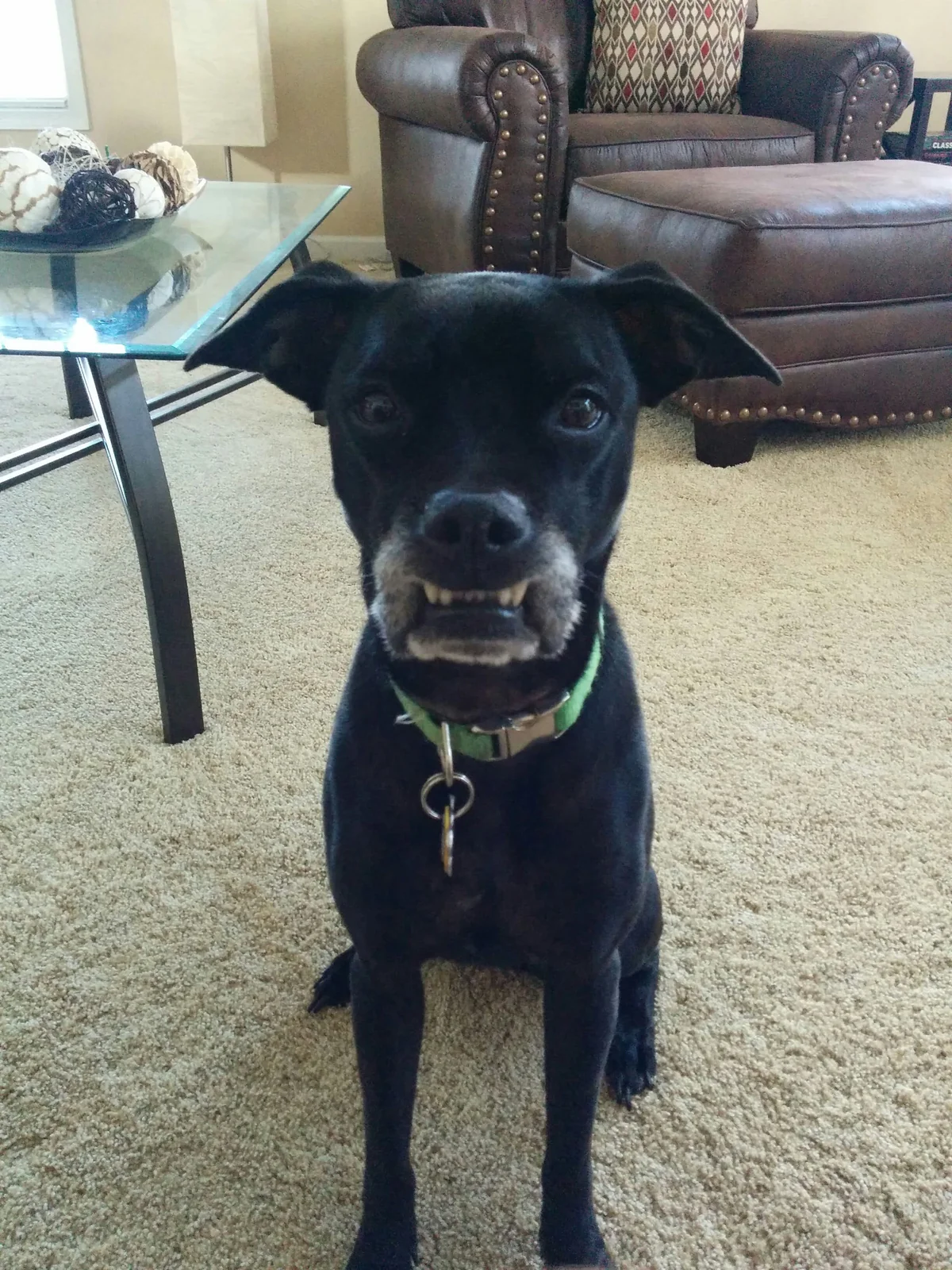 Enzo memorial tribute