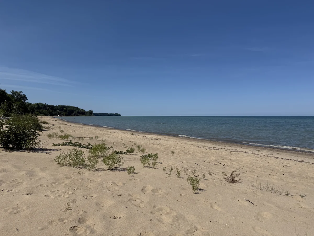 Memorial stone for Loki, beloved Silver Lab dog 2
