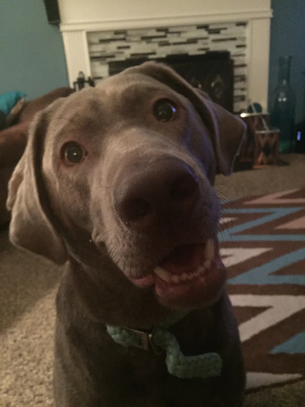 Loki memorial tribute