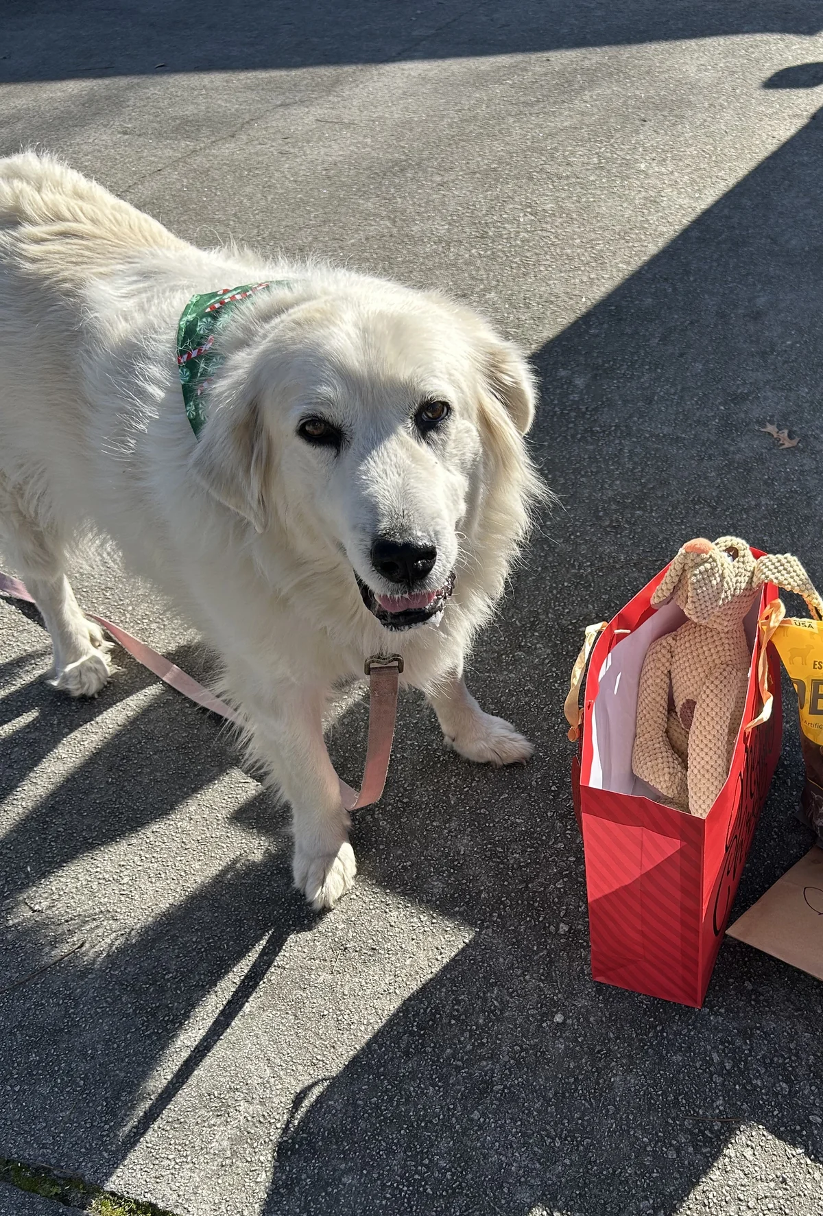 Lucy memorial tribute