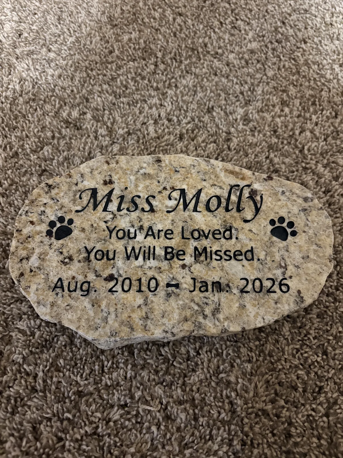 Memorial stone for Miss Molly, beloved Dachshund dog 2