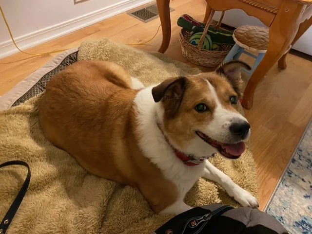 Missy memorial tribute