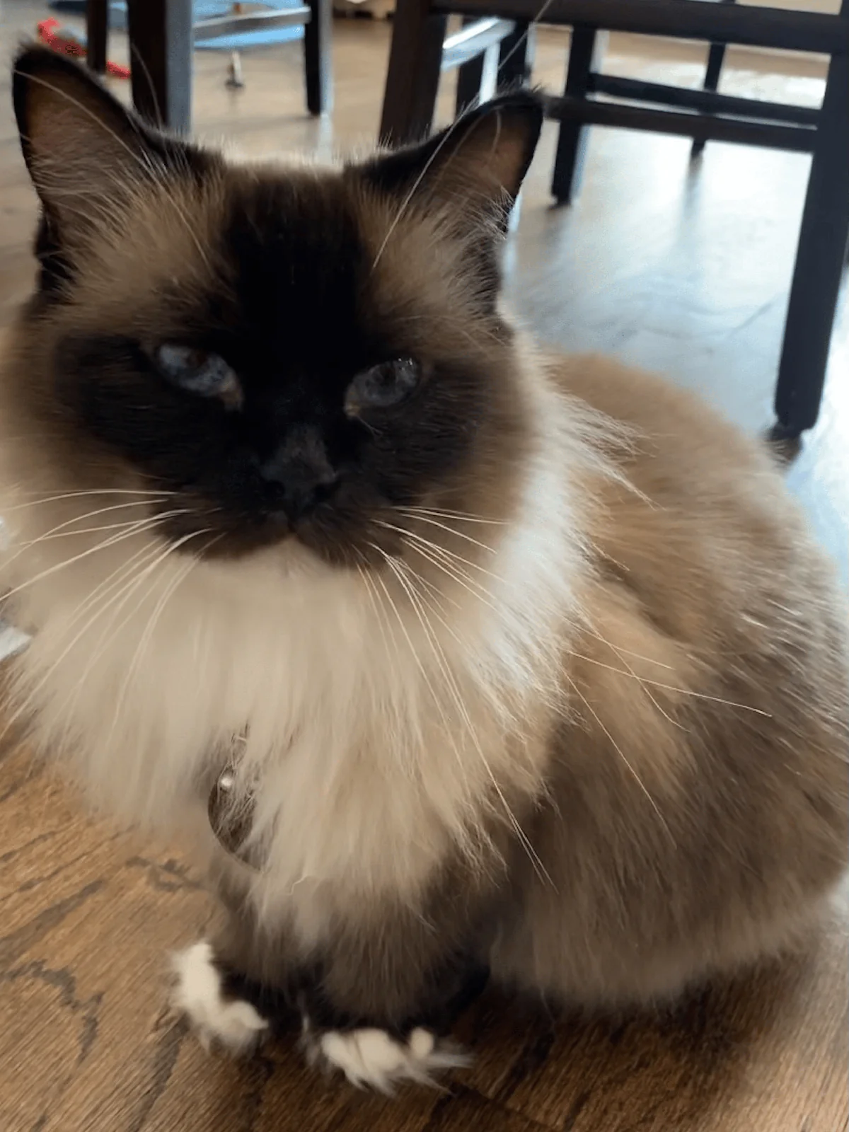 Misty memorial tribute