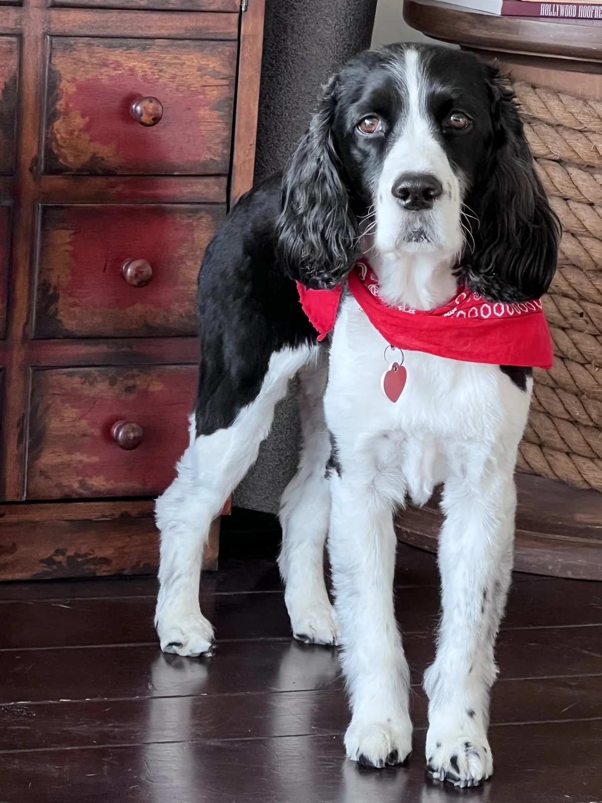 Ryley memorial tribute