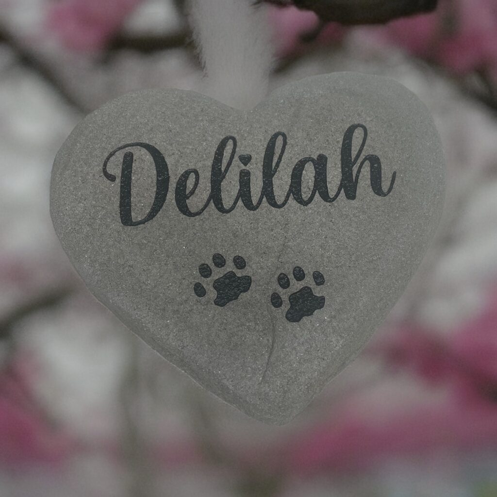 Pet Memorial Heart Rock - Melton Memorials