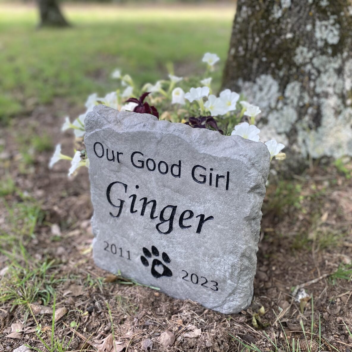 Pet Memorial Stone | Pet Yard Rock | Personalized Pet Memorial Garden ...