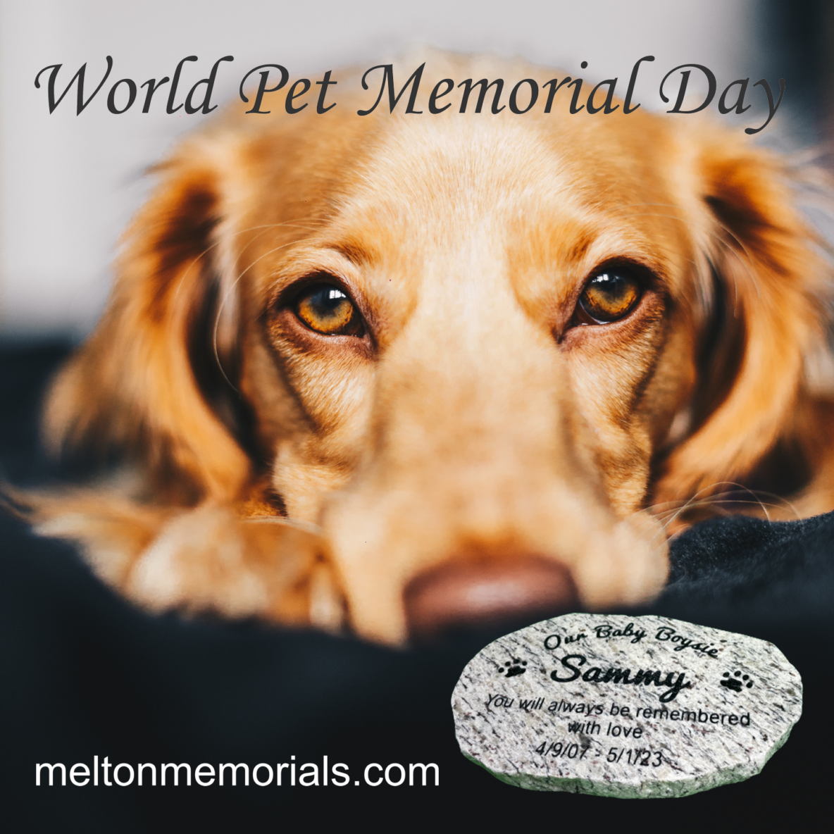 Pet Memorial Day Melton Memorials