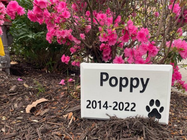 Pet Memorial Headstone - Image 2